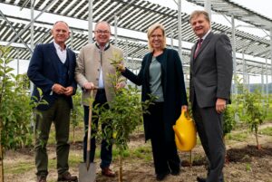 Gerhard Karner, Stephan Pernkopf, Leonore Gewessler und Reinhard Wolf pflanzen einen Apfelbaum unter der Photovoltaik-Anlage..