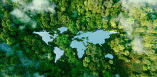 Weltkarte als See dargestellt, welche umgeben von Wäldern ist.