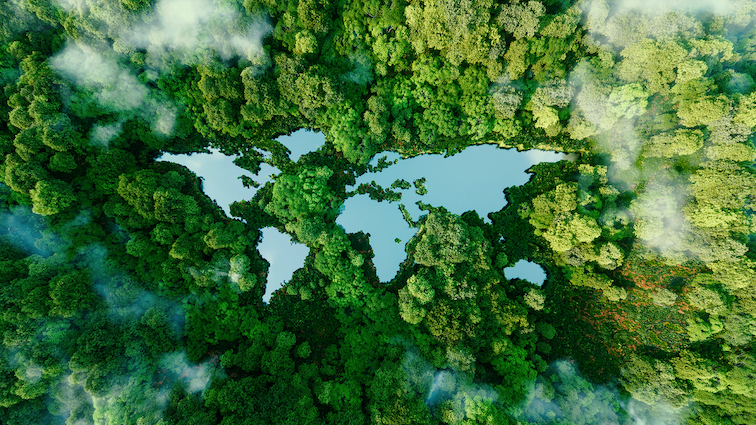 Weltkarte als See dargestellt, welche umgeben von Wäldern ist.