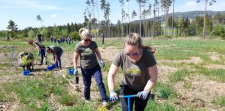 RCM-Mitarbeiter arbeiten fürs Klima.