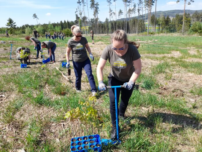 RCM-Mitarbeiter arbeiten fürs Klima.