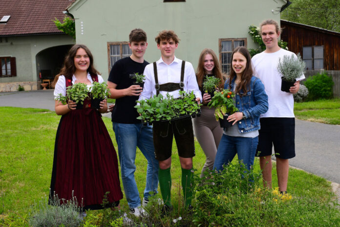 Gruppenfoto: Anna-Lena Hofmann (Obfrau), Juri Leber, Lorenz Berger (Aufsichtsrat-Stv.), Hanna Dichtinger, Belinda Hofstätter und Simon Kober (Mitglied des Aufsichtsrats)