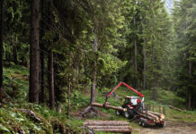 Holzarbeiten mit Traktor und Anhänger im Wald