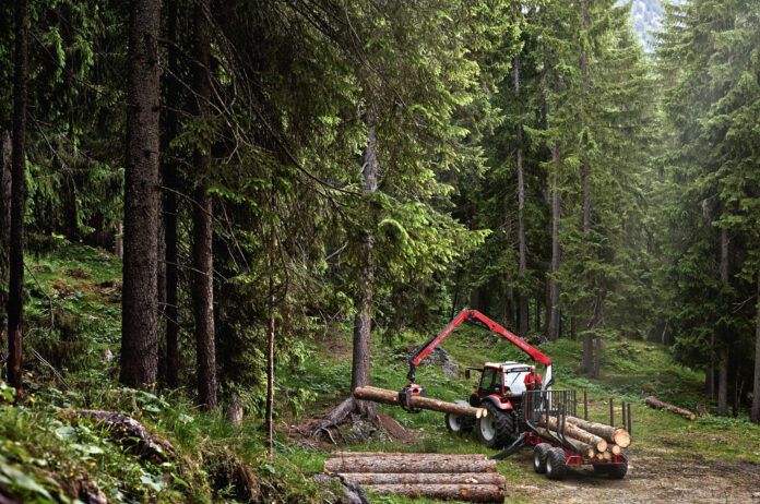 Holzarbeiten mit Traktor und Anhänger im Wald