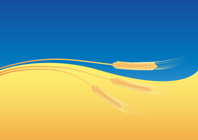Die ukrainische Flagge mit drei Getreide-Ähren als Symbolbild für die Rolle der Ukraine in der Getreideversorgung