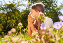 Mädchen mit Schnupfen oder Heuschnupfen Allergie beim Nase putzen und Niesen