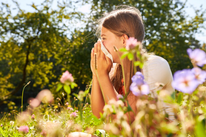 Mädchen mit Schnupfen oder Heuschnupfen Allergie beim Nase putzen und Niesen