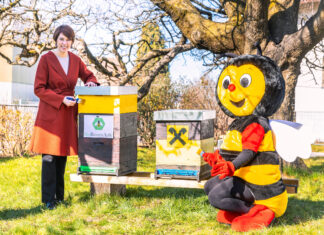 Ariane Pfleger sorgt gemeinsam mit Sumsi für einen frischen Anstrich der Bienenstöcke.