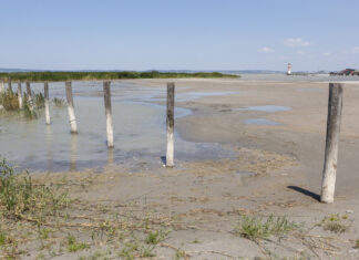Der Pegel des Neusiedler Sees erreicht durch die anhaltende Trockenheit einen historischen Tiefstand.