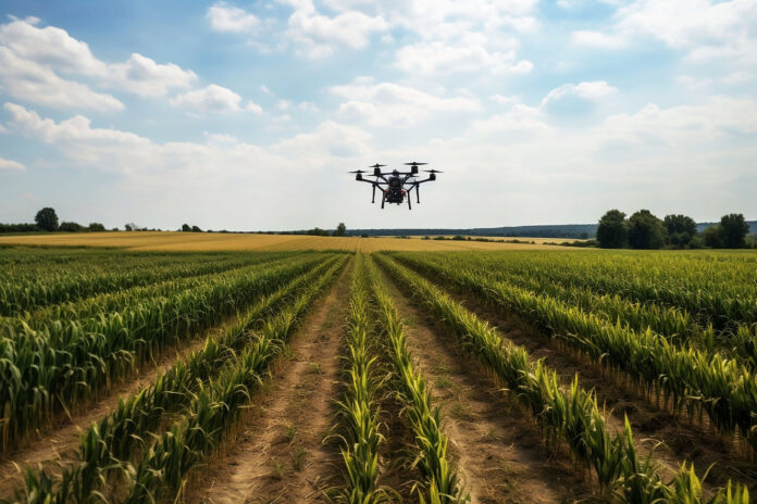 Eine Drohne fliegt über einen Acker als Symbolbild für Digitialisierung in der Landwirtschaft.