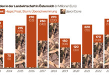 Grafik: Schäden in der Landwirtschaft in Österreich (in Millionen Euro), unterteilt in Dürreschäden und andere