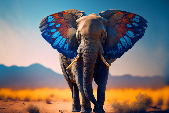 Elefant mit Schmetterlingflügel als Ohren. Das Sujetbild des Raiffeisen Bundeskongress Transformation & Nachhaltigkeit
