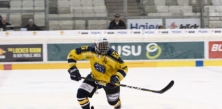 Stock City Oilers in Action