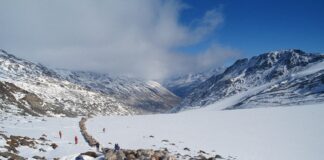 Transhumanz in den Ötztaler Alpen gehört zum Immateriellen Kulturerbe