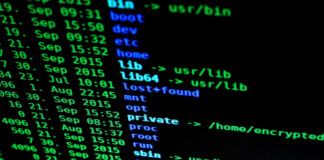 Computer Code auf einem Bildschirm als Symbolbild für Cyber Security