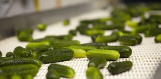 Gurkerl-Produktion bei Efko