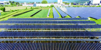 Das „Öko-Solar-Biotop Pöchlarn“ der RWA Solar Solutions ist eines der größten Versuchsfelder für Agri-PV.