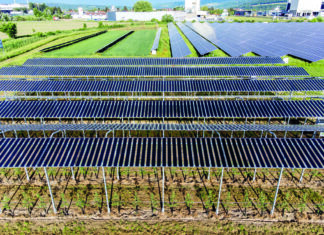 Das „Öko-Solar-Biotop Pöchlarn“ der RWA Solar Solutions ist eines der größten Versuchsfelder für Agri-PV.