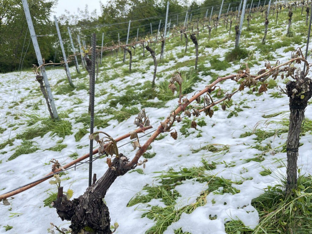 Wein Leutschach