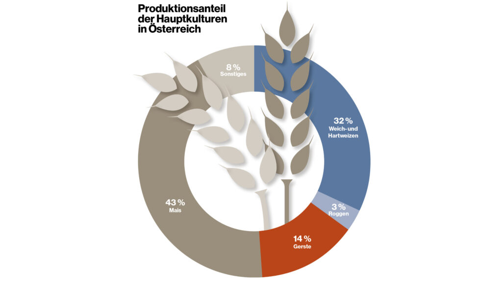 GRAFIK Getreideernte 2024 Anteile
