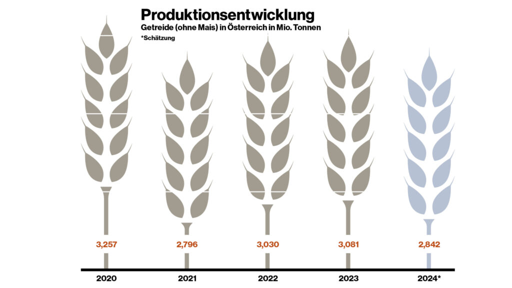 GRAFIK Getreideernte 2024 Produktionsmengen