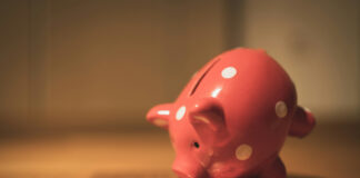 Sparschwein auf der Suche nach Geld als Symbolbild für Sparen, Rücklagen