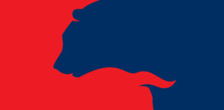 Roter Bulle blauer Bär, Symbolbild für US Wahlen und Republikaner und Demokraten