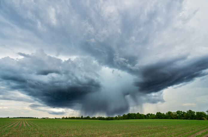 Symbolbild für Unwetter: gwitterzelle über Feld