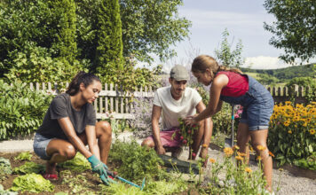 Familie arbeitet gemeinsam im Garten