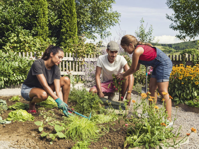 Familie arbeitet gemeinsam im Garten