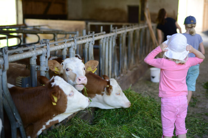 Kinder in einem Kuhstall als Symbolbild für Landwirtschaft