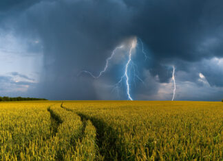 Symbolbild Wetterextreme, Klimawandel, Feld mit Gewitterwolke und Blitz