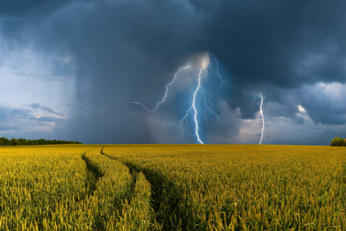 Symbolbild Wetterextreme, Klimawandel, Feld mit Gewitterwolke und Blitz