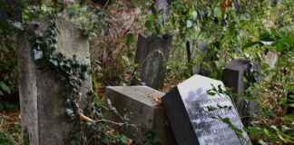 GRabsteine am Zentralfriedhof als Symbolbild für Tod und Sterben