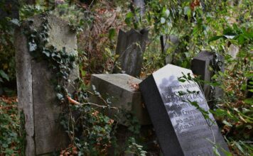 GRabsteine am Zentralfriedhof als Symbolbild für Tod und Sterben