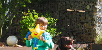 Liam mit Assistenzhund