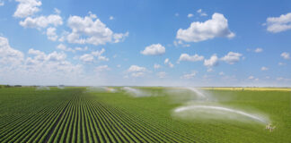 Ein grünes Feld mit Bewässerung als Sujetbild für Wasser