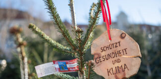 Christbaum mit rot-weiß-roter Schleife