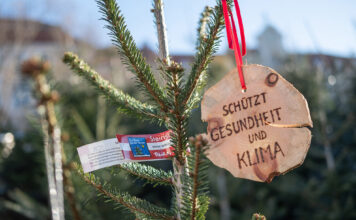 Christbaum mit rot-weiß-roter Schleife