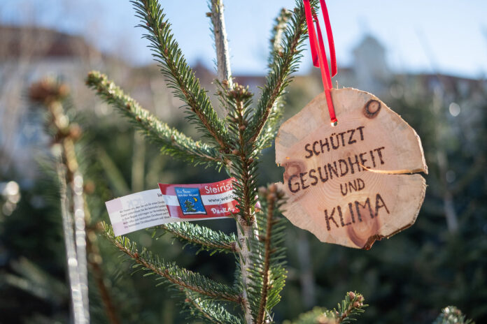 Christbaum mit rot-weiß-roter Schleife