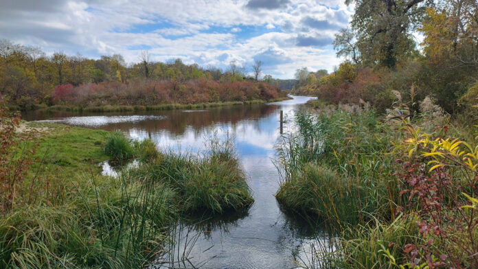 Blick in die Obere Lobau