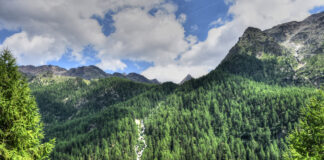 Symbolbil, Blick ins Martelltal
