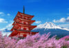 Symbolbild für Reisen nach Asien: Kirschblüten und ein japanischer Tempel mit dem Berg Fuji im Hintergrund