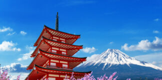 Symbolbild für Reisen nach Asien: Kirschblüten und ein japanischer Tempel mit dem Berg Fuji im Hintergrund