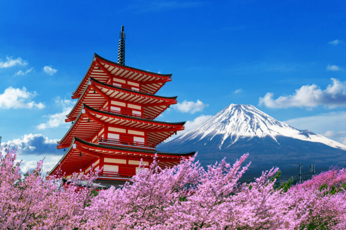 Symbolbild für Reisen nach Asien: Kirschblüten und ein japanischer Tempel mit dem Berg Fuji im Hintergrund