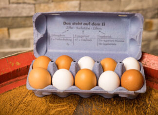 Ein offener Eierkarton mit 10 Eiern