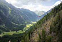 Bei der Aufarbeitung von Schadholzflächen kommen auch Hubschrauber zum Einsatz.