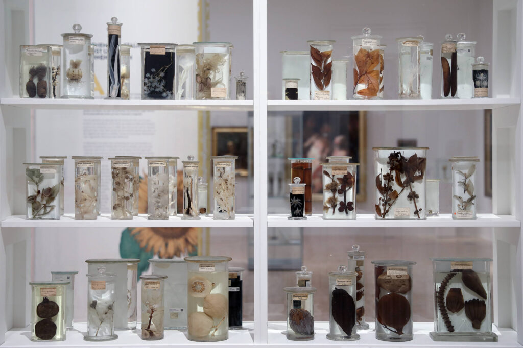 Ausstellungsansicht