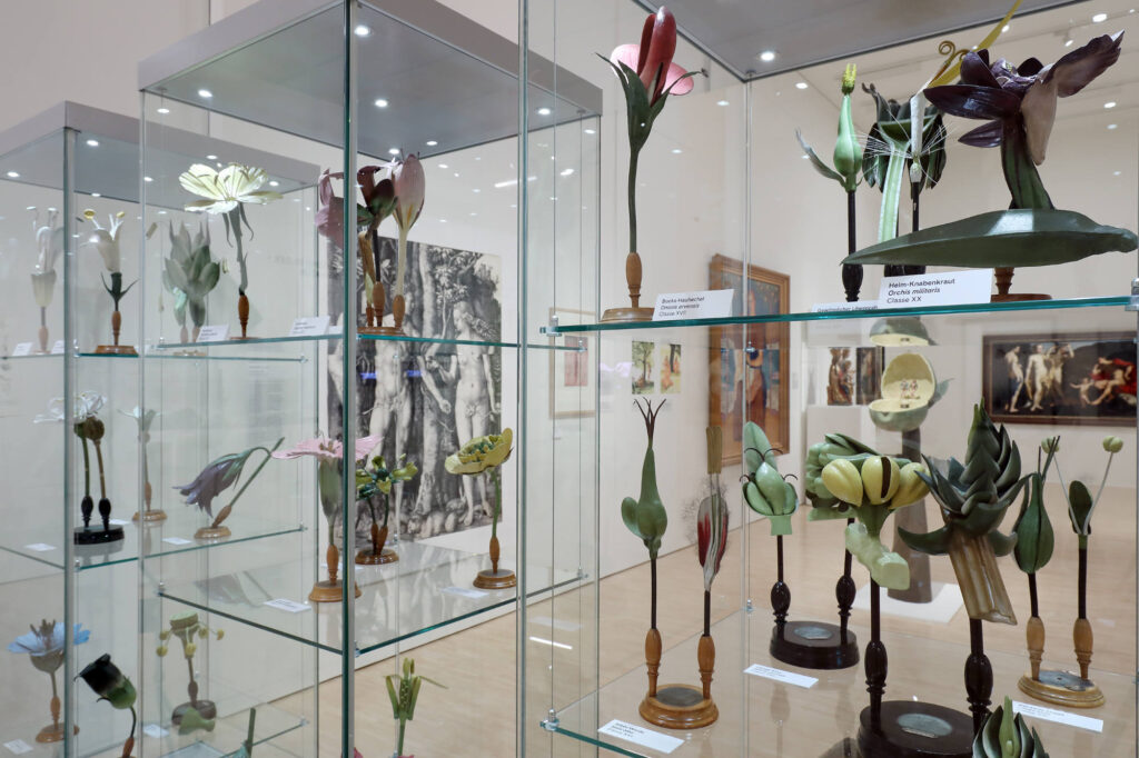 Ausstellungsansicht