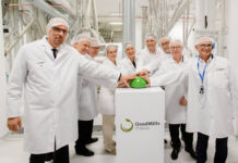 Das Führungsteam von GoodMills mit den Eigentümer-Vertretern Michael Höllerer (Raiffeisen NÖ-Wien, 2.v.re.) und Kurt Miesenböck (LLI, 1.v.re.) bei der Eröffnung der Mühle in Kutno